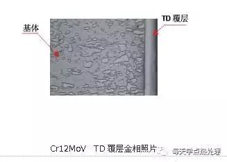 TD覆層處理組織結構.webp.jpg