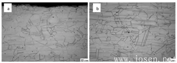 圖6  904L熱軋態固溶處理后顯微組織（a，邊部；b，心部）.png